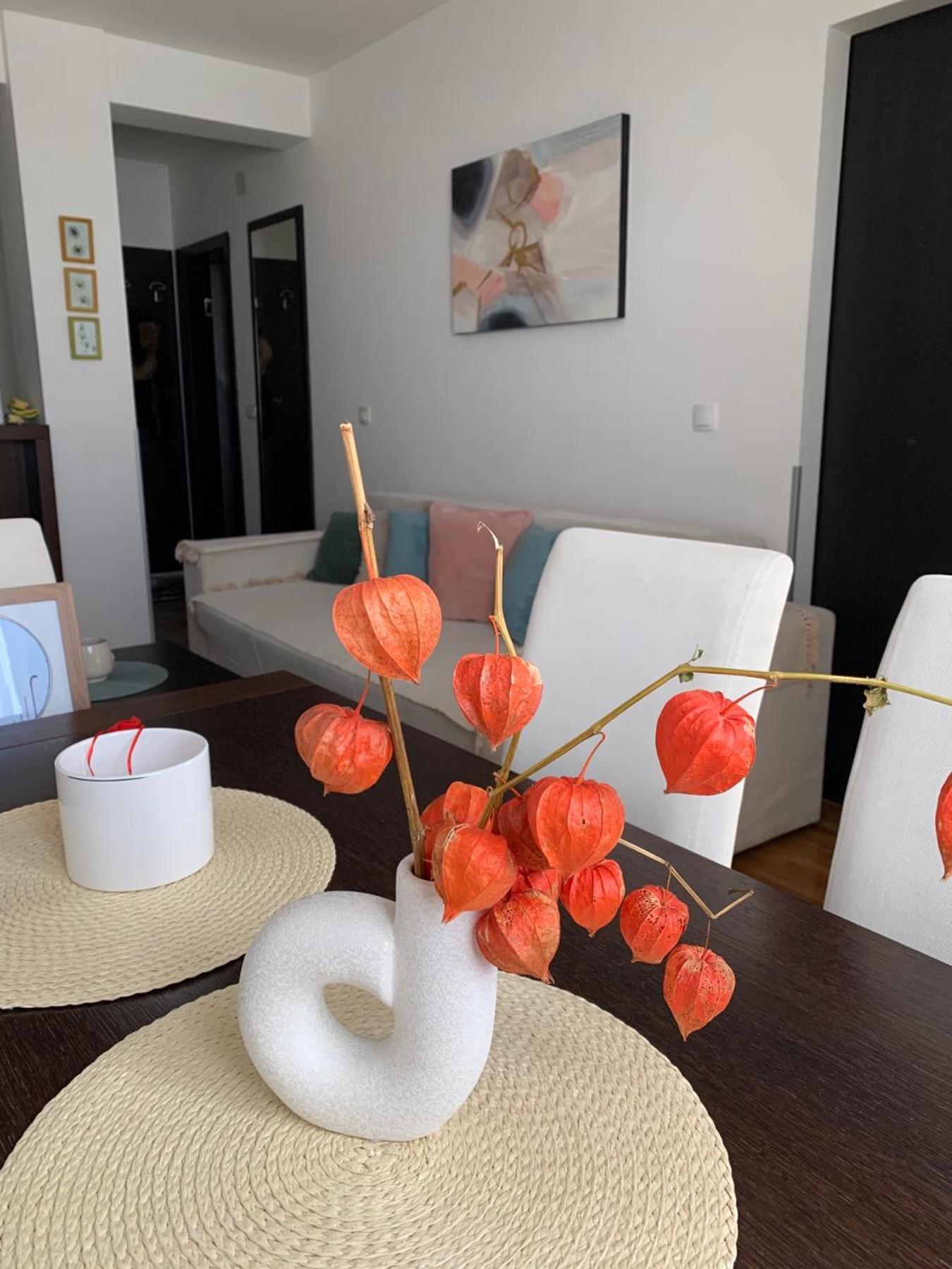 Beli Apartman U Zlatiborskim Konacima Bele Vode Bb Exteriör bild